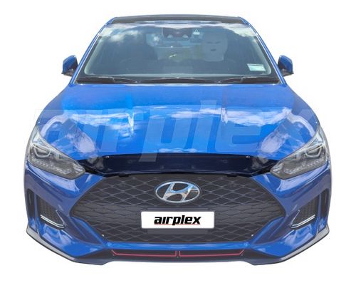 BONNET GUARD - DARK TINT