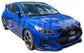 BONNET GUARD - DARK TINT
