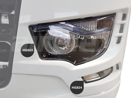 HEADLIGHT GUARD - CLEAR - PAIR