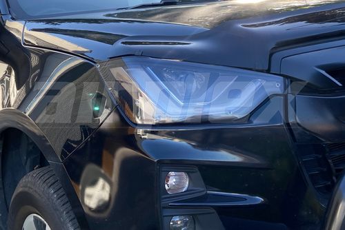 HEADLIGHT GUARD - CLEAR - PAIR