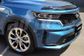 BONNET GUARD - DARK TINT