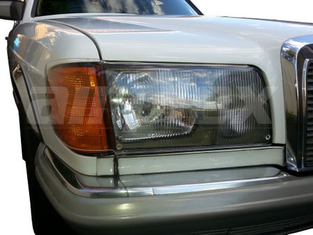 HEADLIGHT GUARD - CLEAR - PAIR