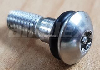 WHEEL TRIM - Spare Part - Stainless Screw for WT Wheel Trim