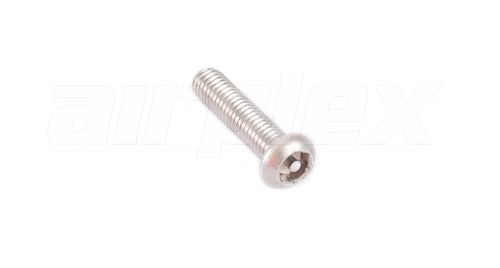 M6 x 25mm Security Screw (Stainless Steel) (6 Pack)