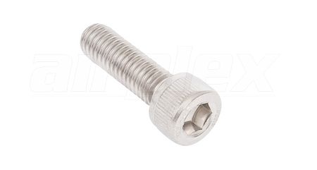 M6 X 20mm Socket Head Screw (Stainless Steel) (4 Pack)