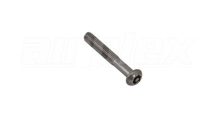 M6 x 40mm Button Head Security Screw (Stainless Steel) (6 Pack)