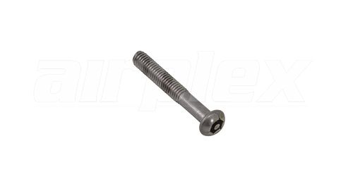 M6 x 40mm Button Head Security Screw (Stainless Steel) (6 Pack)