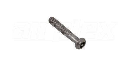 M6 x 35mm Button Head Security Screw (Stainless Steel) (6 Pack)