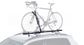 Hybrid Bike Carrier
