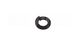 M6 Black Spring Washer (Stainless Steel) (10 Pack)