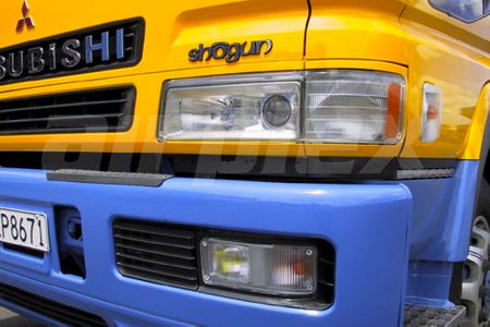 HEADLIGHT GUARD - CLEAR - PAIR