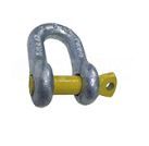 SHACKLE - HAYMAN REESE Rated D Shackle