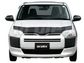 BONNET GUARD - DARK TINT