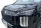 BONNET GUARD - DARK TINT