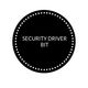 SECURITY DRIVER BIT
