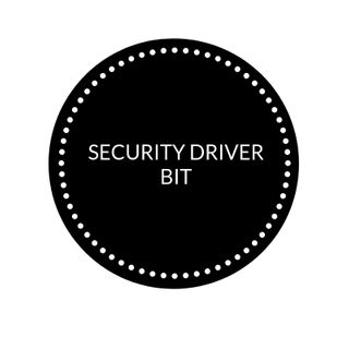 SECURITY DRIVER BIT