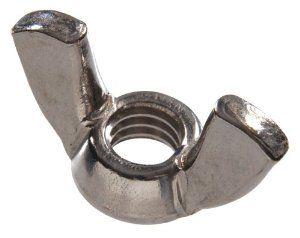 SS316 WING NUT M16