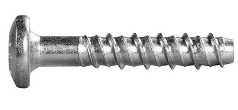 SS316 SCREWBOLT PAN HEAD M6 X 60 T30