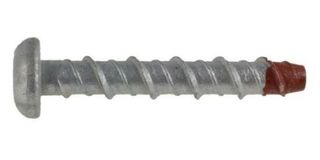 SCREWBOLT DOME GAL T50: M10 X 100