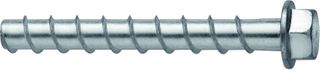 SCREWBOLT HEX R1000 M10 X 100 ETA1/FIRE