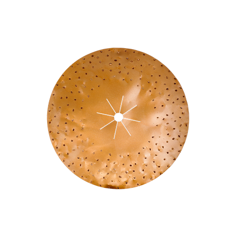 16" TUNGSTEN CARBIDE DISC (10 GRIT)