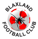 Blaxland FC