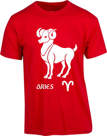Aries T-shirt