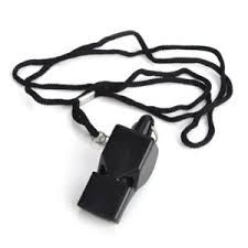 Plastic Whistle w/Lanyard