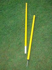 2 Piece Agility Pole - Ylw