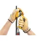 PETZL ASCENSION B17L Ascender - Left Hand