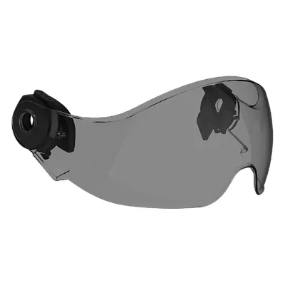 APEX X2 Helmet Visor smoke