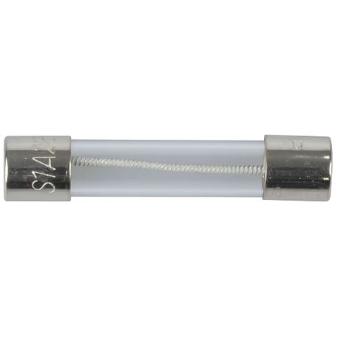 1A 3AG Slow Blow Fuse