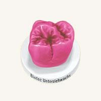 Biotec Wax For Outer Copings 28g