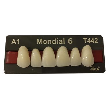 Mondial 6 Anterior A1 T442
