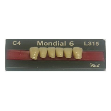 Mondial Shade C4 Anterior