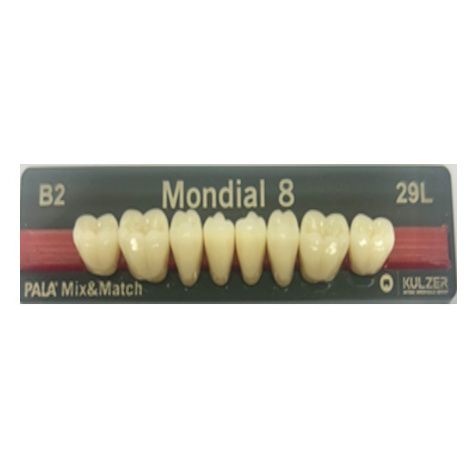 Mondial Shade B2 Posterior