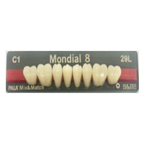 Mondial Shade C1 Posterior