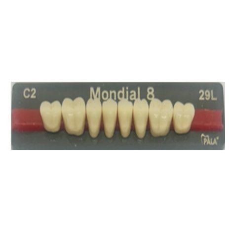 Mondial Shade C2 Posterior