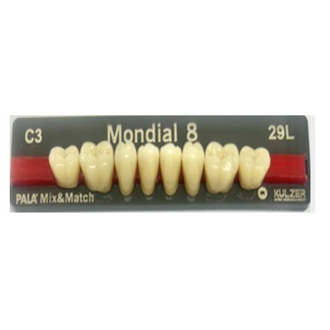 Mondial Shade C3 Posterior