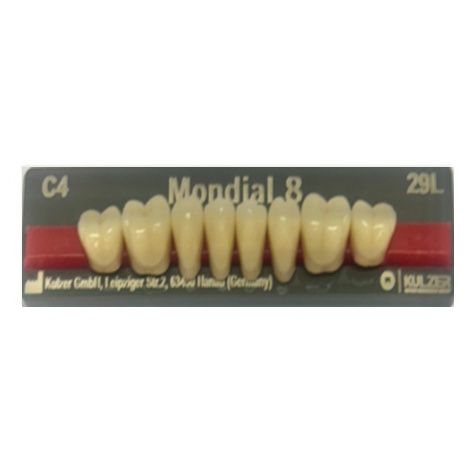 Mondial Shade C4 Posterior