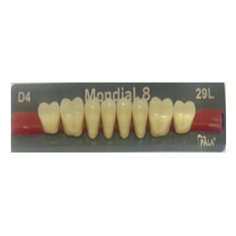 Mondial Shade D4 Posterior