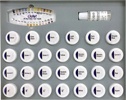 CZR FC Paste Stain Full Kit 85g