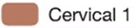 CZR FC Paste Stain Cervical 1 3g