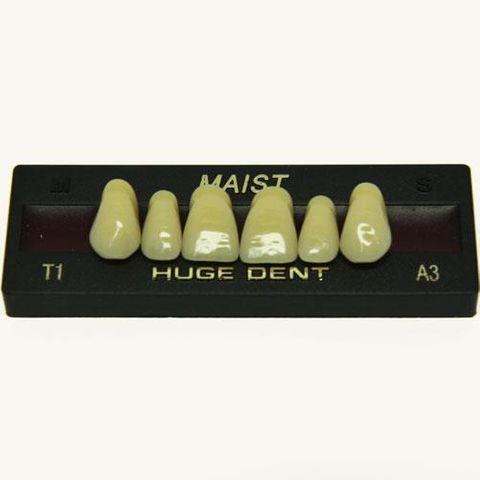 Maist Shade A3 Anterior