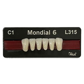 PALA MONDIAL SHADES C1 - C4