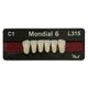 PALA MONDIAL SHADES C1 - C4