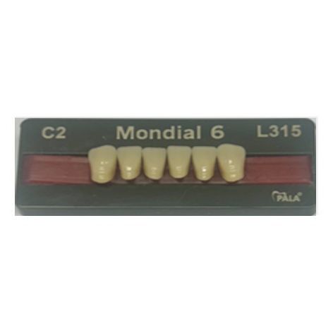Mondial Shade C2 Anterior