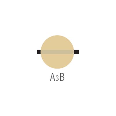 Noritake CZR Body A3B 10g