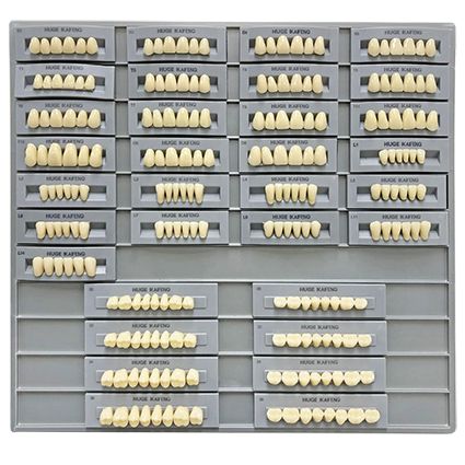 Kaifeng Living Mould Guide B1