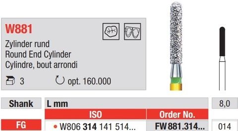 Edenta W881 FG White Tiger Burs